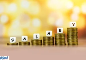 دستور نماینده مردم در مجلس خبرگان رهبری درباره افزایش حقوق‌