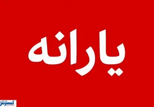 دولت پیشنهاد حذف ۱۵ میلیون نفر از یارانه‌بگیران را مطرح کرد؛ چه کسانی می‌مانند؟