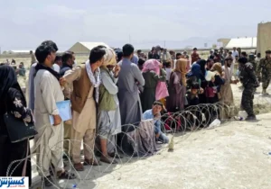 پشت پرده آمار ۸ هزار ویزای کار؛ کارگران افغانستانی بیمه تامین اجتماعی می‌شوند