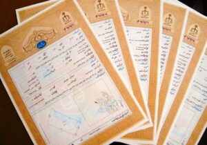 حدنگاری و صدور سند زمین‌های کشاورزی تسریع شد