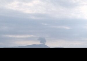 حمله دد منشانه به کشاورزی؛ از مرغداری تا سازمان‌های جهادکشاورزی