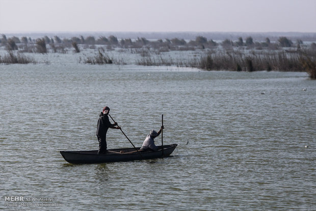 لزوم استمرار ورود آب به تالاب هورالعظیم