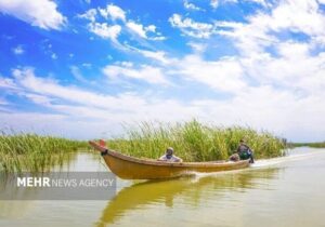 باران «هور» را نجات داد؟