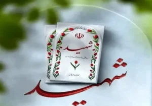 ۱۴ نیر‌وی سپاه امروز در زنجان شهید شدند+ جزئیات