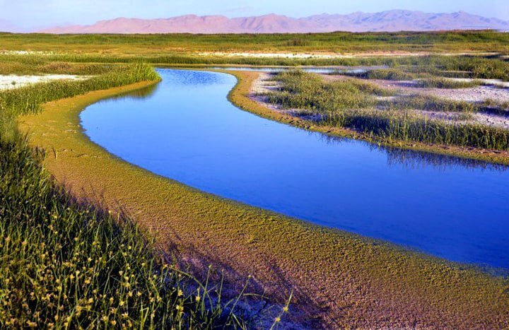 احیای تالابها؛ سرمایهگذاری برای نسلهای آینده احیای تالابها؛ سرمایهگذاری برای نسلهای آینده