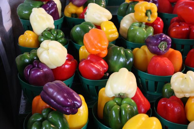 اصفهان با ۱۰ هزار کدQR محصولات گلخانهای را برای صادرات شناسهدار کرد