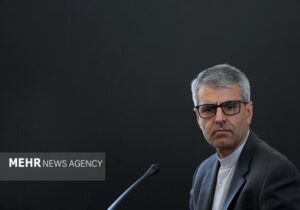 حمله پلیس هلند به همسر باردار مرد فلسطینی، نقض فاحش حقوق بشر است
