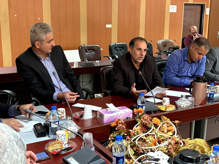 شهیدی: مناسبسازی اماکن برای ایثارگران نیازمند عزم همه دستگاهها است