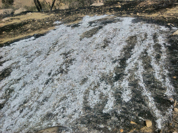 لرستان و معادله پیچیده تابستان؛ حریقهایی که همه منشأ انسانی دارند لرستان و معادله پیچیده تابستان؛ حریقهایی که همه منشأ انسانی دارند