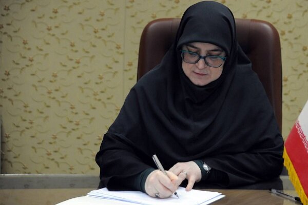 مهاجرانی: میدان و دیپلماسی در کنار هم از ایران دفاع میکنند