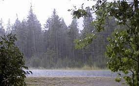 بارندگی در راه ۴ استان جنوبی کشور| در کدام مناطق دما کاهش می یابد؟