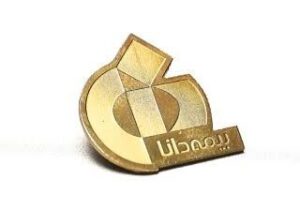 بج سینه برای نمایشگاه و همایش