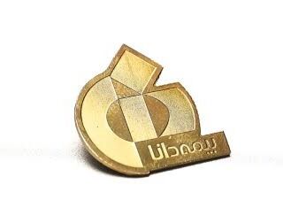 بج سینه برای نمایشگاه و همایش