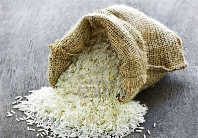 لغو ممنوعیت واردات برنج در فصل برداشت