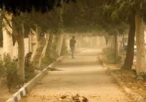 وزش باد همراه با خیزش خاک در تهران